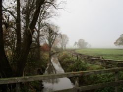 Billerbeck60.jpg