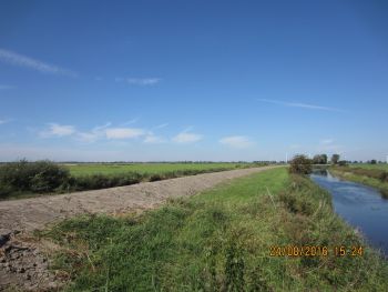 Verwallung am Grauwallkanal.JPG