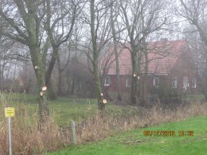 IMG_5850.JPG