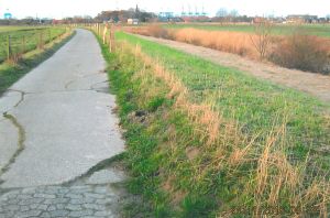 Pfähle2.jpg