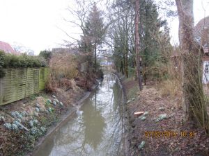 Wremer Wasserloese.JPG