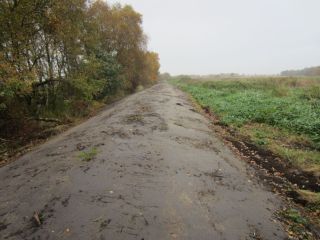 Verwallung Sellstedter Grove unmittelbar nach der Erhoehung.jpg