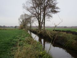 Billerbeck10.jpg