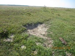 IMG_5017.JPG