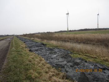 Entschlammung Grauwallkanal.JPG