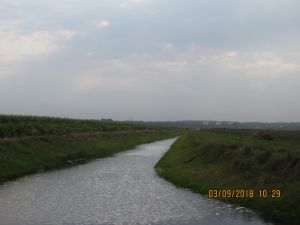 IMG_5215.JPG