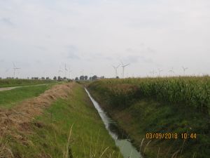 IMG_5219.JPG